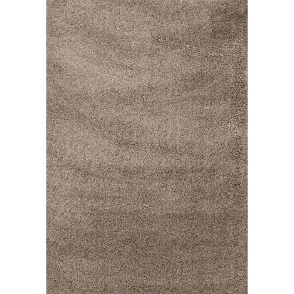 Dynamic Rugs 5900-115 Silky Shag 2 Ft. X 3 Ft. 3 In. Rectangle Rug in Beige